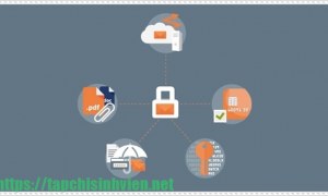 Công ty chúng tôi cung cấp dịch vụ email doanh nghiệp hàng đầu